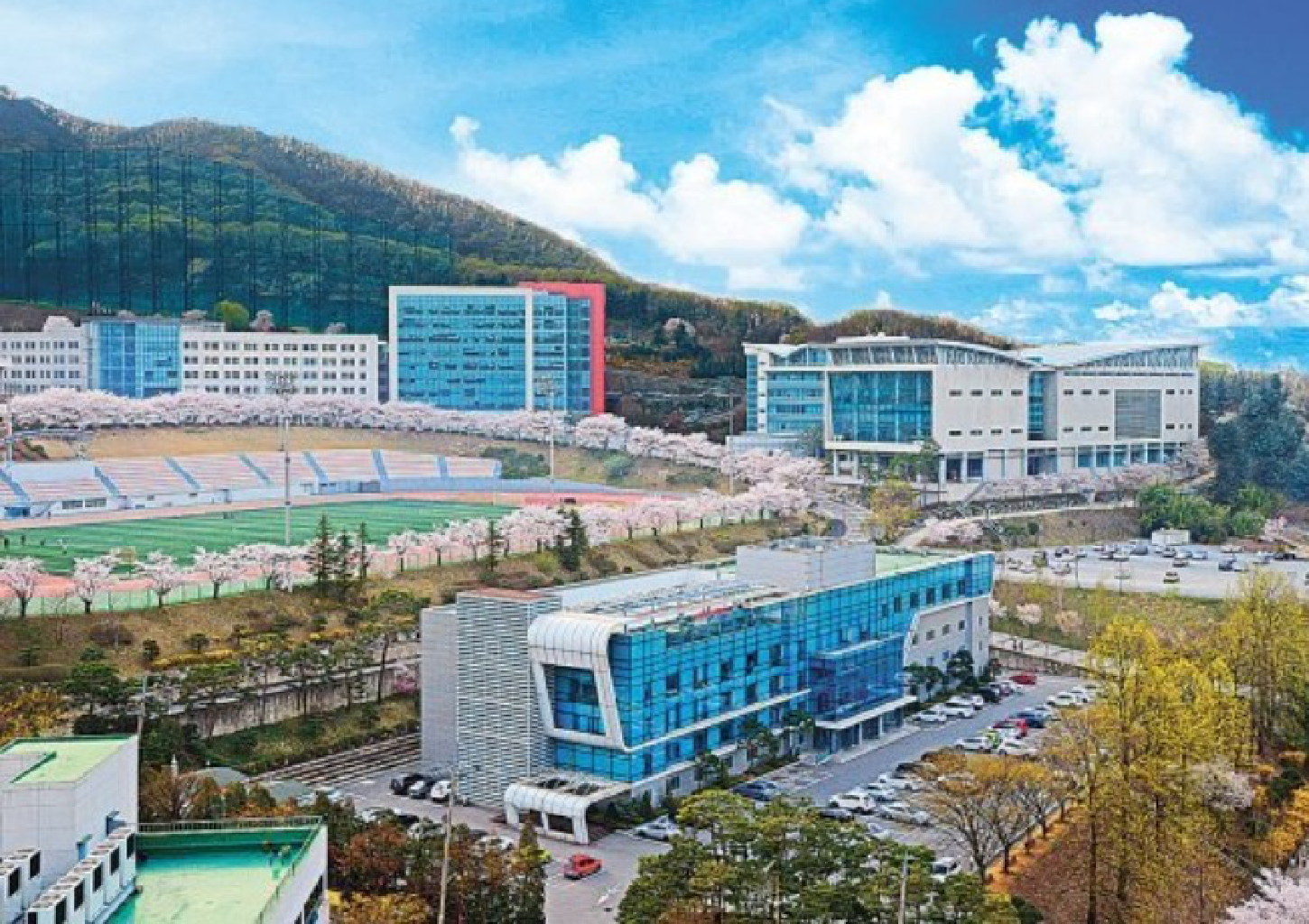 TRƯỜNG ĐẠI HỌC YONGIN – NGÔI TRƯỜNG SỐ 1 VỀ THỂ DỤC THỂ THAO